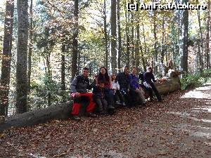 [P33]  -- <small>// FĂRĂ DESCRIERE</small> » foto by wolf2001*
 - 
<span class="allrVoted glyphicon glyphicon-heart hidden" id="av582527"></span>
<a class="m-l-10 hidden" id="sv582527" onclick="voting_Foto_DelVot(,582527,4076)" role="button">șterge vot <span class="glyphicon glyphicon-remove"></span></a>
<a id="v9582527" class=" c-red"  onclick="voting_Foto_SetVot(582527)" role="button"><span class="glyphicon glyphicon-heart-empty"></span> <b>LIKE</b> = Votează poza</a> <img class="hidden"  id="f582527W9" src="/imagini/loader.gif" border="0" /><span class="AjErrMes hidden" id="e582527ErM"></span>