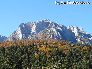 [P04]  -- <small>// FĂRĂ DESCRIERE</small> » foto by wolf2001*
 - 
<span class="allrVoted glyphicon glyphicon-heart hidden" id="av582495"></span>
<a class="m-l-10 hidden" id="sv582495" onclick="voting_Foto_DelVot(,582495,4076)" role="button">șterge vot <span class="glyphicon glyphicon-remove"></span></a>
<a id="v9582495" class=" c-red"  onclick="voting_Foto_SetVot(582495)" role="button"><span class="glyphicon glyphicon-heart-empty"></span> <b>LIKE</b> = Votează poza</a> <img class="hidden"  id="f582495W9" src="/imagini/loader.gif" border="0" /><span class="AjErrMes hidden" id="e582495ErM"></span>