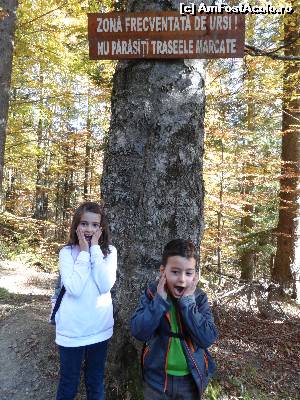 [P09]  -- <small>// FĂRĂ DESCRIERE</small> » foto by wolf2001*
 - 
<span class="allrVoted glyphicon glyphicon-heart hidden" id="av582500"></span>
<a class="m-l-10 hidden" id="sv582500" onclick="voting_Foto_DelVot(,582500,4076)" role="button">șterge vot <span class="glyphicon glyphicon-remove"></span></a>
<a id="v9582500" class=" c-red"  onclick="voting_Foto_SetVot(582500)" role="button"><span class="glyphicon glyphicon-heart-empty"></span> <b>LIKE</b> = Votează poza</a> <img class="hidden"  id="f582500W9" src="/imagini/loader.gif" border="0" /><span class="AjErrMes hidden" id="e582500ErM"></span>