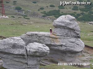 [P12] O formațiune interesantă » foto by ungureanica
 - 
<span class="allrVoted glyphicon glyphicon-heart hidden" id="av571174"></span>
<a class="m-l-10 hidden" id="sv571174" onclick="voting_Foto_DelVot(,571174,4076)" role="button">șterge vot <span class="glyphicon glyphicon-remove"></span></a>
<a id="v9571174" class=" c-red"  onclick="voting_Foto_SetVot(571174)" role="button"><span class="glyphicon glyphicon-heart-empty"></span> <b>LIKE</b> = Votează poza</a> <img class="hidden"  id="f571174W9" src="/imagini/loader.gif" border="0" /><span class="AjErrMes hidden" id="e571174ErM"></span>