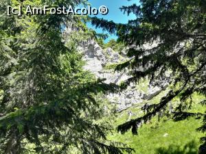 [P10] Incep să se vadă formațiunile stâncoase » foto by Mika
 - 
<span class="allrVoted glyphicon glyphicon-heart hidden" id="av1086345"></span>
<a class="m-l-10 hidden" id="sv1086345" onclick="voting_Foto_DelVot(,1086345,4076)" role="button">șterge vot <span class="glyphicon glyphicon-remove"></span></a>
<a id="v91086345" class=" c-red"  onclick="voting_Foto_SetVot(1086345)" role="button"><span class="glyphicon glyphicon-heart-empty"></span> <b>LIKE</b> = Votează poza</a> <img class="hidden"  id="f1086345W9" src="/imagini/loader.gif" border="0" /><span class="AjErrMes hidden" id="e1086345ErM"></span>