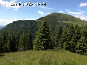 [P13] Vârful Vânturiș » foto by Mika
 - 
<span class="allrVoted glyphicon glyphicon-heart hidden" id="av1086348"></span>
<a class="m-l-10 hidden" id="sv1086348" onclick="voting_Foto_DelVot(,1086348,4076)" role="button">șterge vot <span class="glyphicon glyphicon-remove"></span></a>
<a id="v91086348" class=" c-red"  onclick="voting_Foto_SetVot(1086348)" role="button"><span class="glyphicon glyphicon-heart-empty"></span> <b>LIKE</b> = Votează poza</a> <img class="hidden"  id="f1086348W9" src="/imagini/loader.gif" border="0" /><span class="AjErrMes hidden" id="e1086348ErM"></span>