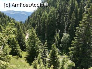 [P19] De-a lungul văii râului Izvorul Dorului » foto by Mika
 - 
<span class="allrVoted glyphicon glyphicon-heart hidden" id="av1086355"></span>
<a class="m-l-10 hidden" id="sv1086355" onclick="voting_Foto_DelVot(,1086355,4076)" role="button">șterge vot <span class="glyphicon glyphicon-remove"></span></a>
<a id="v91086355" class=" c-red"  onclick="voting_Foto_SetVot(1086355)" role="button"><span class="glyphicon glyphicon-heart-empty"></span> <b>LIKE</b> = Votează poza</a> <img class="hidden"  id="f1086355W9" src="/imagini/loader.gif" border="0" /><span class="AjErrMes hidden" id="e1086355ErM"></span>