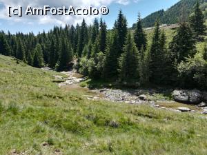 [P22] De-a lungul văii râului Izvorul Dorului » foto by Mika
 - 
<span class="allrVoted glyphicon glyphicon-heart hidden" id="av1086359"></span>
<a class="m-l-10 hidden" id="sv1086359" onclick="voting_Foto_DelVot(,1086359,4076)" role="button">șterge vot <span class="glyphicon glyphicon-remove"></span></a>
<a id="v91086359" class=" c-red"  onclick="voting_Foto_SetVot(1086359)" role="button"><span class="glyphicon glyphicon-heart-empty"></span> <b>LIKE</b> = Votează poza</a> <img class="hidden"  id="f1086359W9" src="/imagini/loader.gif" border="0" /><span class="AjErrMes hidden" id="e1086359ErM"></span>