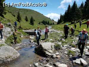 [P25] Cum să facem să nu ne udăm?  » foto by Mika
 - 
<span class="allrVoted glyphicon glyphicon-heart hidden" id="av1086362"></span>
<a class="m-l-10 hidden" id="sv1086362" onclick="voting_Foto_DelVot(,1086362,4076)" role="button">șterge vot <span class="glyphicon glyphicon-remove"></span></a>
<a id="v91086362" class=" c-red"  onclick="voting_Foto_SetVot(1086362)" role="button"><span class="glyphicon glyphicon-heart-empty"></span> <b>LIKE</b> = Votează poza</a> <img class="hidden"  id="f1086362W9" src="/imagini/loader.gif" border="0" /><span class="AjErrMes hidden" id="e1086362ErM"></span>