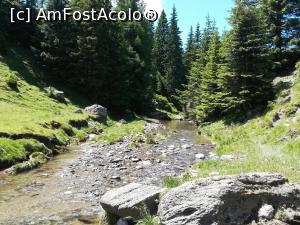 [P26] De-a lungul văii râului Izvorul Dorului » foto by Mika
 - 
<span class="allrVoted glyphicon glyphicon-heart hidden" id="av1086363"></span>
<a class="m-l-10 hidden" id="sv1086363" onclick="voting_Foto_DelVot(,1086363,4076)" role="button">șterge vot <span class="glyphicon glyphicon-remove"></span></a>
<a id="v91086363" class=" c-red"  onclick="voting_Foto_SetVot(1086363)" role="button"><span class="glyphicon glyphicon-heart-empty"></span> <b>LIKE</b> = Votează poza</a> <img class="hidden"  id="f1086363W9" src="/imagini/loader.gif" border="0" /><span class="AjErrMes hidden" id="e1086363ErM"></span>