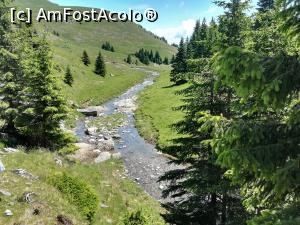 [P27] De-a lungul văii râului Izvorul Dorului » foto by Mika
 - 
<span class="allrVoted glyphicon glyphicon-heart hidden" id="av1086364"></span>
<a class="m-l-10 hidden" id="sv1086364" onclick="voting_Foto_DelVot(,1086364,4076)" role="button">șterge vot <span class="glyphicon glyphicon-remove"></span></a>
<a id="v91086364" class=" c-red"  onclick="voting_Foto_SetVot(1086364)" role="button"><span class="glyphicon glyphicon-heart-empty"></span> <b>LIKE</b> = Votează poza</a> <img class="hidden"  id="f1086364W9" src="/imagini/loader.gif" border="0" /><span class="AjErrMes hidden" id="e1086364ErM"></span>