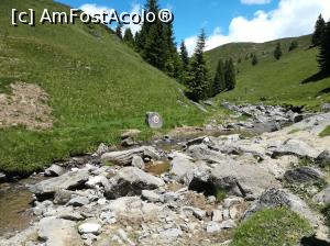 [P28] De-a lungul văii râului Izvorul Dorului urmărind marcajul punct roșu » foto by Mika
 - 
<span class="allrVoted glyphicon glyphicon-heart hidden" id="av1086365"></span>
<a class="m-l-10 hidden" id="sv1086365" onclick="voting_Foto_DelVot(,1086365,4076)" role="button">șterge vot <span class="glyphicon glyphicon-remove"></span></a>
<a id="v91086365" class=" c-red"  onclick="voting_Foto_SetVot(1086365)" role="button"><span class="glyphicon glyphicon-heart-empty"></span> <b>LIKE</b> = Votează poza</a> <img class="hidden"  id="f1086365W9" src="/imagini/loader.gif" border="0" /><span class="AjErrMes hidden" id="e1086365ErM"></span>