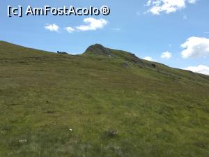 [P34] Acolo sus trebuie să ajungem » foto by Mika
 - 
<span class="allrVoted glyphicon glyphicon-heart hidden" id="av1086374"></span>
<a class="m-l-10 hidden" id="sv1086374" onclick="voting_Foto_DelVot(,1086374,4076)" role="button">șterge vot <span class="glyphicon glyphicon-remove"></span></a>
<a id="v91086374" class=" c-red"  onclick="voting_Foto_SetVot(1086374)" role="button"><span class="glyphicon glyphicon-heart-empty"></span> <b>LIKE</b> = Votează poza</a> <img class="hidden"  id="f1086374W9" src="/imagini/loader.gif" border="0" /><span class="AjErrMes hidden" id="e1086374ErM"></span>