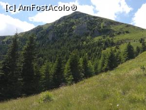 [P46] Acolo sus am fost » foto by Mika
 - 
<span class="allrVoted glyphicon glyphicon-heart hidden" id="av1086391"></span>
<a class="m-l-10 hidden" id="sv1086391" onclick="voting_Foto_DelVot(,1086391,4076)" role="button">șterge vot <span class="glyphicon glyphicon-remove"></span></a>
<a id="v91086391" class=" c-red"  onclick="voting_Foto_SetVot(1086391)" role="button"><span class="glyphicon glyphicon-heart-empty"></span> <b>LIKE</b> = Votează poza</a> <img class="hidden"  id="f1086391W9" src="/imagini/loader.gif" border="0" /><span class="AjErrMes hidden" id="e1086391ErM"></span>