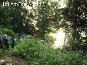 [P47] Pe drumul de iarnă spre Cota 1400 » foto by Mika
 - 
<span class="allrVoted glyphicon glyphicon-heart hidden" id="av1086392"></span>
<a class="m-l-10 hidden" id="sv1086392" onclick="voting_Foto_DelVot(,1086392,4076)" role="button">șterge vot <span class="glyphicon glyphicon-remove"></span></a>
<a id="v91086392" class=" c-red"  onclick="voting_Foto_SetVot(1086392)" role="button"><span class="glyphicon glyphicon-heart-empty"></span> <b>LIKE</b> = Votează poza</a> <img class="hidden"  id="f1086392W9" src="/imagini/loader.gif" border="0" /><span class="AjErrMes hidden" id="e1086392ErM"></span>