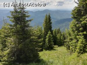 [P06] Spre Colții lui Barbeș » foto by Mika
 - 
<span class="allrVoted glyphicon glyphicon-heart hidden" id="av1086341"></span>
<a class="m-l-10 hidden" id="sv1086341" onclick="voting_Foto_DelVot(,1086341,4076)" role="button">șterge vot <span class="glyphicon glyphicon-remove"></span></a>
<a id="v91086341" class=" c-red"  onclick="voting_Foto_SetVot(1086341)" role="button"><span class="glyphicon glyphicon-heart-empty"></span> <b>LIKE</b> = Votează poza</a> <img class="hidden"  id="f1086341W9" src="/imagini/loader.gif" border="0" /><span class="AjErrMes hidden" id="e1086341ErM"></span>