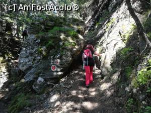 [P07] Traseul prezintă câteva porțoni mai dificile » foto by Mika
 - 
<span class="allrVoted glyphicon glyphicon-heart hidden" id="av1086342"></span>
<a class="m-l-10 hidden" id="sv1086342" onclick="voting_Foto_DelVot(,1086342,4076)" role="button">șterge vot <span class="glyphicon glyphicon-remove"></span></a>
<a id="v91086342" class=" c-red"  onclick="voting_Foto_SetVot(1086342)" role="button"><span class="glyphicon glyphicon-heart-empty"></span> <b>LIKE</b> = Votează poza</a> <img class="hidden"  id="f1086342W9" src="/imagini/loader.gif" border="0" /><span class="AjErrMes hidden" id="e1086342ErM"></span>