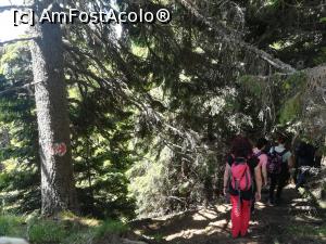 [P09] Pe Poteca Haiducilor sub Colții lui Barbeș » foto by Mika
 - 
<span class="allrVoted glyphicon glyphicon-heart hidden" id="av1086344"></span>
<a class="m-l-10 hidden" id="sv1086344" onclick="voting_Foto_DelVot(,1086344,4076)" role="button">șterge vot <span class="glyphicon glyphicon-remove"></span></a>
<a id="v91086344" class=" c-red"  onclick="voting_Foto_SetVot(1086344)" role="button"><span class="glyphicon glyphicon-heart-empty"></span> <b>LIKE</b> = Votează poza</a> <img class="hidden"  id="f1086344W9" src="/imagini/loader.gif" border="0" /><span class="AjErrMes hidden" id="e1086344ErM"></span>