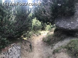 [P29] De la Babele la Pestera » foto by Mika
 - 
<span class="allrVoted glyphicon glyphicon-heart hidden" id="av1112828"></span>
<a class="m-l-10 hidden" id="sv1112828" onclick="voting_Foto_DelVot(,1112828,4076)" role="button">șterge vot <span class="glyphicon glyphicon-remove"></span></a>
<a id="v91112828" class=" c-red"  onclick="voting_Foto_SetVot(1112828)" role="button"><span class="glyphicon glyphicon-heart-empty"></span> <b>LIKE</b> = Votează poza</a> <img class="hidden"  id="f1112828W9" src="/imagini/loader.gif" border="0" /><span class="AjErrMes hidden" id="e1112828ErM"></span>