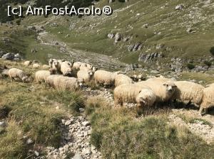 [P06] De la Peștera la Vf. Omu pe Valea Obârșiei » foto by Mika
 - 
<span class="allrVoted glyphicon glyphicon-heart hidden" id="av1112805"></span>
<a class="m-l-10 hidden" id="sv1112805" onclick="voting_Foto_DelVot(,1112805,4076)" role="button">șterge vot <span class="glyphicon glyphicon-remove"></span></a>
<a id="v91112805" class=" c-red"  onclick="voting_Foto_SetVot(1112805)" role="button"><span class="glyphicon glyphicon-heart-empty"></span> <b>LIKE</b> = Votează poza</a> <img class="hidden"  id="f1112805W9" src="/imagini/loader.gif" border="0" /><span class="AjErrMes hidden" id="e1112805ErM"></span>