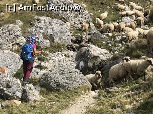 [P07] De la Peștera la Vf. Omu » foto by Mika
 - 
<span class="allrVoted glyphicon glyphicon-heart hidden" id="av1112806"></span>
<a class="m-l-10 hidden" id="sv1112806" onclick="voting_Foto_DelVot(,1112806,4076)" role="button">șterge vot <span class="glyphicon glyphicon-remove"></span></a>
<a id="v91112806" class=" c-red"  onclick="voting_Foto_SetVot(1112806)" role="button"><span class="glyphicon glyphicon-heart-empty"></span> <b>LIKE</b> = Votează poza</a> <img class="hidden"  id="f1112806W9" src="/imagini/loader.gif" border="0" /><span class="AjErrMes hidden" id="e1112806ErM"></span>