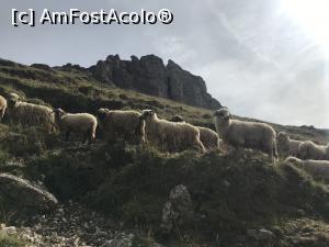 [P08] De la Peștera la Vf. Omu, pe sub Colții Obârșiei » foto by Mika
 - 
<span class="allrVoted glyphicon glyphicon-heart hidden" id="av1112807"></span>
<a class="m-l-10 hidden" id="sv1112807" onclick="voting_Foto_DelVot(,1112807,4076)" role="button">șterge vot <span class="glyphicon glyphicon-remove"></span></a>
<a id="v91112807" class=" c-red"  onclick="voting_Foto_SetVot(1112807)" role="button"><span class="glyphicon glyphicon-heart-empty"></span> <b>LIKE</b> = Votează poza</a> <img class="hidden"  id="f1112807W9" src="/imagini/loader.gif" border="0" /><span class="AjErrMes hidden" id="e1112807ErM"></span>