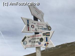 [P09]  -- <small>// FĂRĂ DESCRIERE</small> » foto by Mika
 - 
<span class="allrVoted glyphicon glyphicon-heart hidden" id="av1112808"></span>
<a class="m-l-10 hidden" id="sv1112808" onclick="voting_Foto_DelVot(,1112808,4076)" role="button">șterge vot <span class="glyphicon glyphicon-remove"></span></a>
<a id="v91112808" class=" c-red"  onclick="voting_Foto_SetVot(1112808)" role="button"><span class="glyphicon glyphicon-heart-empty"></span> <b>LIKE</b> = Votează poza</a> <img class="hidden"  id="f1112808W9" src="/imagini/loader.gif" border="0" /><span class="AjErrMes hidden" id="e1112808ErM"></span>