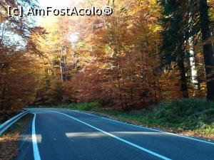 [P19] Spre Cabana Dichiu » foto by Mika
 - 
<span class="allrVoted glyphicon glyphicon-heart hidden" id="av1119752"></span>
<a class="m-l-10 hidden" id="sv1119752" onclick="voting_Foto_DelVot(,1119752,4076)" role="button">șterge vot <span class="glyphicon glyphicon-remove"></span></a>
<a id="v91119752" class=" c-red"  onclick="voting_Foto_SetVot(1119752)" role="button"><span class="glyphicon glyphicon-heart-empty"></span> <b>LIKE</b> = Votează poza</a> <img class="hidden"  id="f1119752W9" src="/imagini/loader.gif" border="0" /><span class="AjErrMes hidden" id="e1119752ErM"></span>