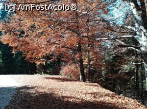 [P20] Spre Moroieni » foto by Mika
 - 
<span class="allrVoted glyphicon glyphicon-heart hidden" id="av1119753"></span>
<a class="m-l-10 hidden" id="sv1119753" onclick="voting_Foto_DelVot(,1119753,4076)" role="button">șterge vot <span class="glyphicon glyphicon-remove"></span></a>
<a id="v91119753" class=" c-red"  onclick="voting_Foto_SetVot(1119753)" role="button"><span class="glyphicon glyphicon-heart-empty"></span> <b>LIKE</b> = Votează poza</a> <img class="hidden"  id="f1119753W9" src="/imagini/loader.gif" border="0" /><span class="AjErrMes hidden" id="e1119753ErM"></span>