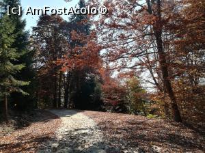 [P21] Spre Moroieni » foto by Mika
 - 
<span class="allrVoted glyphicon glyphicon-heart hidden" id="av1119754"></span>
<a class="m-l-10 hidden" id="sv1119754" onclick="voting_Foto_DelVot(,1119754,4076)" role="button">șterge vot <span class="glyphicon glyphicon-remove"></span></a>
<a id="v91119754" class=" c-red"  onclick="voting_Foto_SetVot(1119754)" role="button"><span class="glyphicon glyphicon-heart-empty"></span> <b>LIKE</b> = Votează poza</a> <img class="hidden"  id="f1119754W9" src="/imagini/loader.gif" border="0" /><span class="AjErrMes hidden" id="e1119754ErM"></span>