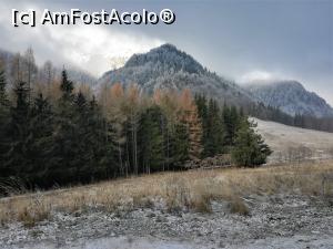 [P10] In Poiana Stânii » foto by Mika
 - 
<span class="allrVoted glyphicon glyphicon-heart hidden" id="av1132218"></span>
<a class="m-l-10 hidden" id="sv1132218" onclick="voting_Foto_DelVot(,1132218,4076)" role="button">șterge vot <span class="glyphicon glyphicon-remove"></span></a>
<a id="v91132218" class=" c-red"  onclick="voting_Foto_SetVot(1132218)" role="button"><span class="glyphicon glyphicon-heart-empty"></span> <b>LIKE</b> = Votează poza</a> <img class="hidden"  id="f1132218W9" src="/imagini/loader.gif" border="0" /><span class="AjErrMes hidden" id="e1132218ErM"></span>