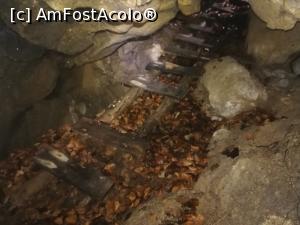 [P16] In Avenul Haiducilor » foto by Mika
 - 
<span class="allrVoted glyphicon glyphicon-heart hidden" id="av1132224"></span>
<a class="m-l-10 hidden" id="sv1132224" onclick="voting_Foto_DelVot(,1132224,4076)" role="button">șterge vot <span class="glyphicon glyphicon-remove"></span></a>
<a id="v91132224" class=" c-red"  onclick="voting_Foto_SetVot(1132224)" role="button"><span class="glyphicon glyphicon-heart-empty"></span> <b>LIKE</b> = Votează poza</a> <img class="hidden"  id="f1132224W9" src="/imagini/loader.gif" border="0" /><span class="AjErrMes hidden" id="e1132224ErM"></span>