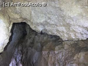 [P17] Liliac in Avenul Haiducilor » foto by Mika
 - 
<span class="allrVoted glyphicon glyphicon-heart hidden" id="av1132225"></span>
<a class="m-l-10 hidden" id="sv1132225" onclick="voting_Foto_DelVot(,1132225,4076)" role="button">șterge vot <span class="glyphicon glyphicon-remove"></span></a>
<a id="v91132225" class=" c-red"  onclick="voting_Foto_SetVot(1132225)" role="button"><span class="glyphicon glyphicon-heart-empty"></span> <b>LIKE</b> = Votează poza</a> <img class="hidden"  id="f1132225W9" src="/imagini/loader.gif" border="0" /><span class="AjErrMes hidden" id="e1132225ErM"></span>