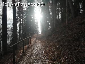 [P02] Pe Poteca Regală » foto by Mika
 - 
<span class="allrVoted glyphicon glyphicon-heart hidden" id="av1132210"></span>
<a class="m-l-10 hidden" id="sv1132210" onclick="voting_Foto_DelVot(,1132210,4076)" role="button">șterge vot <span class="glyphicon glyphicon-remove"></span></a>
<a id="v91132210" class=" c-red"  onclick="voting_Foto_SetVot(1132210)" role="button"><span class="glyphicon glyphicon-heart-empty"></span> <b>LIKE</b> = Votează poza</a> <img class="hidden"  id="f1132210W9" src="/imagini/loader.gif" border="0" /><span class="AjErrMes hidden" id="e1132210ErM"></span>