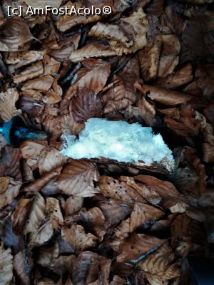 [P23] Păr de gheață » foto by Mika
 - 
<span class="allrVoted glyphicon glyphicon-heart hidden" id="av1132231"></span>
<a class="m-l-10 hidden" id="sv1132231" onclick="voting_Foto_DelVot(,1132231,4076)" role="button">șterge vot <span class="glyphicon glyphicon-remove"></span></a>
<a id="v91132231" class=" c-red"  onclick="voting_Foto_SetVot(1132231)" role="button"><span class="glyphicon glyphicon-heart-empty"></span> <b>LIKE</b> = Votează poza</a> <img class="hidden"  id="f1132231W9" src="/imagini/loader.gif" border="0" /><span class="AjErrMes hidden" id="e1132231ErM"></span>