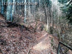 [P03] Pe Poteca Regală » foto by Mika
 - 
<span class="allrVoted glyphicon glyphicon-heart hidden" id="av1132211"></span>
<a class="m-l-10 hidden" id="sv1132211" onclick="voting_Foto_DelVot(,1132211,4076)" role="button">șterge vot <span class="glyphicon glyphicon-remove"></span></a>
<a id="v91132211" class=" c-red"  onclick="voting_Foto_SetVot(1132211)" role="button"><span class="glyphicon glyphicon-heart-empty"></span> <b>LIKE</b> = Votează poza</a> <img class="hidden"  id="f1132211W9" src="/imagini/loader.gif" border="0" /><span class="AjErrMes hidden" id="e1132211ErM"></span>