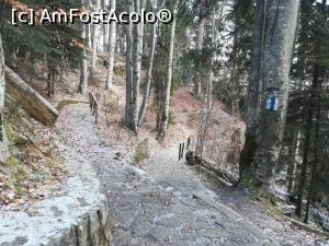 [P04] Pe Poteca Regală » foto by Mika
 - 
<span class="allrVoted glyphicon glyphicon-heart hidden" id="av1132212"></span>
<a class="m-l-10 hidden" id="sv1132212" onclick="voting_Foto_DelVot(,1132212,4076)" role="button">șterge vot <span class="glyphicon glyphicon-remove"></span></a>
<a id="v91132212" class=" c-red"  onclick="voting_Foto_SetVot(1132212)" role="button"><span class="glyphicon glyphicon-heart-empty"></span> <b>LIKE</b> = Votează poza</a> <img class="hidden"  id="f1132212W9" src="/imagini/loader.gif" border="0" /><span class="AjErrMes hidden" id="e1132212ErM"></span>