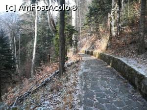 [P05] Pe Poteca Regală » foto by Mika
 - 
<span class="allrVoted glyphicon glyphicon-heart hidden" id="av1132213"></span>
<a class="m-l-10 hidden" id="sv1132213" onclick="voting_Foto_DelVot(,1132213,4076)" role="button">șterge vot <span class="glyphicon glyphicon-remove"></span></a>
<a id="v91132213" class=" c-red"  onclick="voting_Foto_SetVot(1132213)" role="button"><span class="glyphicon glyphicon-heart-empty"></span> <b>LIKE</b> = Votează poza</a> <img class="hidden"  id="f1132213W9" src="/imagini/loader.gif" border="0" /><span class="AjErrMes hidden" id="e1132213ErM"></span>