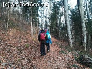 [P06] Spre Peștera lui Bogdan » foto by Mika
 - 
<span class="allrVoted glyphicon glyphicon-heart hidden" id="av1132214"></span>
<a class="m-l-10 hidden" id="sv1132214" onclick="voting_Foto_DelVot(,1132214,4076)" role="button">șterge vot <span class="glyphicon glyphicon-remove"></span></a>
<a id="v91132214" class=" c-red"  onclick="voting_Foto_SetVot(1132214)" role="button"><span class="glyphicon glyphicon-heart-empty"></span> <b>LIKE</b> = Votează poza</a> <img class="hidden"  id="f1132214W9" src="/imagini/loader.gif" border="0" /><span class="AjErrMes hidden" id="e1132214ErM"></span>