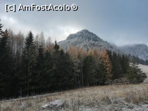 [P09] In Poiana Stânii » foto by Mika
 - 
<span class="allrVoted glyphicon glyphicon-heart hidden" id="av1132217"></span>
<a class="m-l-10 hidden" id="sv1132217" onclick="voting_Foto_DelVot(,1132217,4076)" role="button">șterge vot <span class="glyphicon glyphicon-remove"></span></a>
<a id="v91132217" class=" c-red"  onclick="voting_Foto_SetVot(1132217)" role="button"><span class="glyphicon glyphicon-heart-empty"></span> <b>LIKE</b> = Votează poza</a> <img class="hidden"  id="f1132217W9" src="/imagini/loader.gif" border="0" /><span class="AjErrMes hidden" id="e1132217ErM"></span>