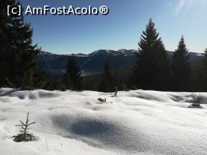 [P10] Pe Leuca Mare zăpada este in unele locuri neatinsă » foto by Mika
 - 
<span class="allrVoted glyphicon glyphicon-heart hidden" id="av1151882"></span>
<a class="m-l-10 hidden" id="sv1151882" onclick="voting_Foto_DelVot(,1151882,4076)" role="button">șterge vot <span class="glyphicon glyphicon-remove"></span></a>
<a id="v91151882" class=" c-red"  onclick="voting_Foto_SetVot(1151882)" role="button"><span class="glyphicon glyphicon-heart-empty"></span> <b>LIKE</b> = Votează poza</a> <img class="hidden"  id="f1151882W9" src="/imagini/loader.gif" border="0" /><span class="AjErrMes hidden" id="e1151882ErM"></span>