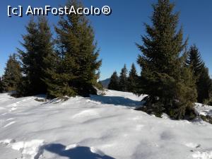 [P11] Pe Vârful Leuca Mare » foto by Mika
 - 
<span class="allrVoted glyphicon glyphicon-heart hidden" id="av1151883"></span>
<a class="m-l-10 hidden" id="sv1151883" onclick="voting_Foto_DelVot(,1151883,4076)" role="button">șterge vot <span class="glyphicon glyphicon-remove"></span></a>
<a id="v91151883" class=" c-red"  onclick="voting_Foto_SetVot(1151883)" role="button"><span class="glyphicon glyphicon-heart-empty"></span> <b>LIKE</b> = Votează poza</a> <img class="hidden"  id="f1151883W9" src="/imagini/loader.gif" border="0" /><span class="AjErrMes hidden" id="e1151883ErM"></span>