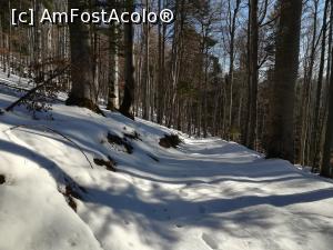 [P02] Prin pădure spre Șaua Grecului » foto by Mika
 - 
<span class="allrVoted glyphicon glyphicon-heart hidden" id="av1151868"></span>
<a class="m-l-10 hidden" id="sv1151868" onclick="voting_Foto_DelVot(,1151868,4076)" role="button">șterge vot <span class="glyphicon glyphicon-remove"></span></a>
<a id="v91151868" class=" c-red"  onclick="voting_Foto_SetVot(1151868)" role="button"><span class="glyphicon glyphicon-heart-empty"></span> <b>LIKE</b> = Votează poza</a> <img class="hidden"  id="f1151868W9" src="/imagini/loader.gif" border="0" /><span class="AjErrMes hidden" id="e1151868ErM"></span>