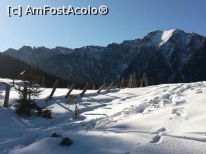 [P22] Spre Cabana Diham » foto by Mika
 - 
<span class="allrVoted glyphicon glyphicon-heart hidden" id="av1151899"></span>
<a class="m-l-10 hidden" id="sv1151899" onclick="voting_Foto_DelVot(,1151899,4076)" role="button">șterge vot <span class="glyphicon glyphicon-remove"></span></a>
<a id="v91151899" class=" c-red"  onclick="voting_Foto_SetVot(1151899)" role="button"><span class="glyphicon glyphicon-heart-empty"></span> <b>LIKE</b> = Votează poza</a> <img class="hidden"  id="f1151899W9" src="/imagini/loader.gif" border="0" /><span class="AjErrMes hidden" id="e1151899ErM"></span>