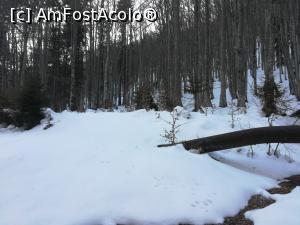 [P25] Spre Cabana Gura Diham » foto by Mika
 - 
<span class="allrVoted glyphicon glyphicon-heart hidden" id="av1151902"></span>
<a class="m-l-10 hidden" id="sv1151902" onclick="voting_Foto_DelVot(,1151902,4076)" role="button">șterge vot <span class="glyphicon glyphicon-remove"></span></a>
<a id="v91151902" class=" c-red"  onclick="voting_Foto_SetVot(1151902)" role="button"><span class="glyphicon glyphicon-heart-empty"></span> <b>LIKE</b> = Votează poza</a> <img class="hidden"  id="f1151902W9" src="/imagini/loader.gif" border="0" /><span class="AjErrMes hidden" id="e1151902ErM"></span>