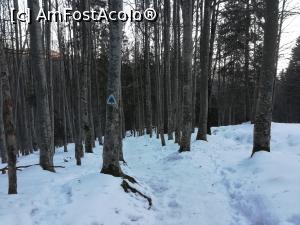 [P26] Spre Cabana Gura Diham » foto by Mika
 - 
<span class="allrVoted glyphicon glyphicon-heart hidden" id="av1151903"></span>
<a class="m-l-10 hidden" id="sv1151903" onclick="voting_Foto_DelVot(,1151903,4076)" role="button">șterge vot <span class="glyphicon glyphicon-remove"></span></a>
<a id="v91151903" class=" c-red"  onclick="voting_Foto_SetVot(1151903)" role="button"><span class="glyphicon glyphicon-heart-empty"></span> <b>LIKE</b> = Votează poza</a> <img class="hidden"  id="f1151903W9" src="/imagini/loader.gif" border="0" /><span class="AjErrMes hidden" id="e1151903ErM"></span>