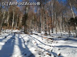 [P03] Se anunța o zi frumoasă. Soarele strălucea printre crengile pomilor.  » foto by Mika
 - 
<span class="allrVoted glyphicon glyphicon-heart hidden" id="av1151870"></span>
<a class="m-l-10 hidden" id="sv1151870" onclick="voting_Foto_DelVot(,1151870,4076)" role="button">șterge vot <span class="glyphicon glyphicon-remove"></span></a>
<a id="v91151870" class=" c-red"  onclick="voting_Foto_SetVot(1151870)" role="button"><span class="glyphicon glyphicon-heart-empty"></span> <b>LIKE</b> = Votează poza</a> <img class="hidden"  id="f1151870W9" src="/imagini/loader.gif" border="0" /><span class="AjErrMes hidden" id="e1151870ErM"></span>