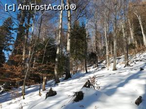 [P05] Prin pădure spre Șaua Grecului » foto by Mika
 - 
<span class="allrVoted glyphicon glyphicon-heart hidden" id="av1151874"></span>
<a class="m-l-10 hidden" id="sv1151874" onclick="voting_Foto_DelVot(,1151874,4076)" role="button">șterge vot <span class="glyphicon glyphicon-remove"></span></a>
<a id="v91151874" class=" c-red"  onclick="voting_Foto_SetVot(1151874)" role="button"><span class="glyphicon glyphicon-heart-empty"></span> <b>LIKE</b> = Votează poza</a> <img class="hidden"  id="f1151874W9" src="/imagini/loader.gif" border="0" /><span class="AjErrMes hidden" id="e1151874ErM"></span>