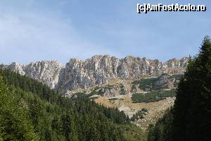 [P13]  -- <small>// FĂRĂ DESCRIERE</small> » foto by CosminZichil
 - 
<span class="allrVoted glyphicon glyphicon-heart hidden" id="av621606"></span>
<a class="m-l-10 hidden" id="sv621606" onclick="voting_Foto_DelVot(,621606,4076)" role="button">șterge vot <span class="glyphicon glyphicon-remove"></span></a>
<a id="v9621606" class=" c-red"  onclick="voting_Foto_SetVot(621606)" role="button"><span class="glyphicon glyphicon-heart-empty"></span> <b>LIKE</b> = Votează poza</a> <img class="hidden"  id="f621606W9" src="/imagini/loader.gif" border="0" /><span class="AjErrMes hidden" id="e621606ErM"></span>