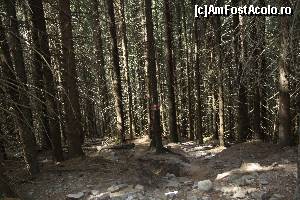 [P14]  -- <small>// FĂRĂ DESCRIERE</small> » foto by CosminZichil
 - 
<span class="allrVoted glyphicon glyphicon-heart hidden" id="av621607"></span>
<a class="m-l-10 hidden" id="sv621607" onclick="voting_Foto_DelVot(,621607,4076)" role="button">șterge vot <span class="glyphicon glyphicon-remove"></span></a>
<a id="v9621607" class=" c-red"  onclick="voting_Foto_SetVot(621607)" role="button"><span class="glyphicon glyphicon-heart-empty"></span> <b>LIKE</b> = Votează poza</a> <img class="hidden"  id="f621607W9" src="/imagini/loader.gif" border="0" /><span class="AjErrMes hidden" id="e621607ErM"></span>