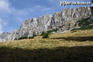 [P15]  -- <small>// FĂRĂ DESCRIERE</small> » foto by CosminZichil
 - 
<span class="allrVoted glyphicon glyphicon-heart hidden" id="av621608"></span>
<a class="m-l-10 hidden" id="sv621608" onclick="voting_Foto_DelVot(,621608,4076)" role="button">șterge vot <span class="glyphicon glyphicon-remove"></span></a>
<a id="v9621608" class=" c-red"  onclick="voting_Foto_SetVot(621608)" role="button"><span class="glyphicon glyphicon-heart-empty"></span> <b>LIKE</b> = Votează poza</a> <img class="hidden"  id="f621608W9" src="/imagini/loader.gif" border="0" /><span class="AjErrMes hidden" id="e621608ErM"></span>