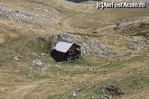 [P18]  -- <small>// FĂRĂ DESCRIERE</small> » foto by CosminZichil
 - 
<span class="allrVoted glyphicon glyphicon-heart hidden" id="av621611"></span>
<a class="m-l-10 hidden" id="sv621611" onclick="voting_Foto_DelVot(,621611,4076)" role="button">șterge vot <span class="glyphicon glyphicon-remove"></span></a>
<a id="v9621611" class=" c-red"  onclick="voting_Foto_SetVot(621611)" role="button"><span class="glyphicon glyphicon-heart-empty"></span> <b>LIKE</b> = Votează poza</a> <img class="hidden"  id="f621611W9" src="/imagini/loader.gif" border="0" /><span class="AjErrMes hidden" id="e621611ErM"></span>