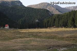 [P19]  -- <small>// FĂRĂ DESCRIERE</small> » foto by CosminZichil
 - 
<span class="allrVoted glyphicon glyphicon-heart hidden" id="av621612"></span>
<a class="m-l-10 hidden" id="sv621612" onclick="voting_Foto_DelVot(,621612,4076)" role="button">șterge vot <span class="glyphicon glyphicon-remove"></span></a>
<a id="v9621612" class=" c-red"  onclick="voting_Foto_SetVot(621612)" role="button"><span class="glyphicon glyphicon-heart-empty"></span> <b>LIKE</b> = Votează poza</a> <img class="hidden"  id="f621612W9" src="/imagini/loader.gif" border="0" /><span class="AjErrMes hidden" id="e621612ErM"></span>