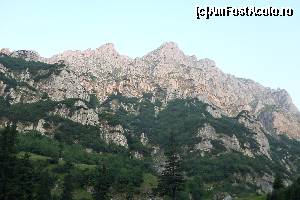 [P01]  -- <small>// FĂRĂ DESCRIERE</small> » foto by CosminZichil
 - 
<span class="allrVoted glyphicon glyphicon-heart hidden" id="av621784"></span>
<a class="m-l-10 hidden" id="sv621784" onclick="voting_Foto_DelVot(,621784,4076)" role="button">șterge vot <span class="glyphicon glyphicon-remove"></span></a>
<a id="v9621784" class=" c-red"  onclick="voting_Foto_SetVot(621784)" role="button"><span class="glyphicon glyphicon-heart-empty"></span> <b>LIKE</b> = Votează poza</a> <img class="hidden"  id="f621784W9" src="/imagini/loader.gif" border="0" /><span class="AjErrMes hidden" id="e621784ErM"></span>